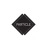 Particle