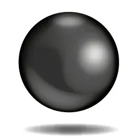 BlackFin Capital Partners