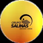 Grupo Salinas